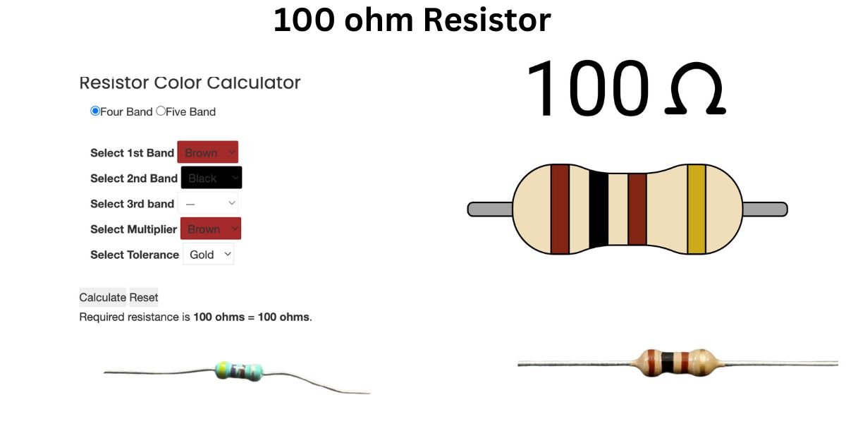 100 ohm resistor